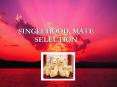 SINGLEHOOD, MATE SELECTION PowerPoint PPT Presentation