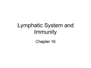 Lymphatic System and Immunity