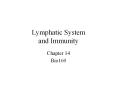 Lymphatic System and Immunity PowerPoint PPT Presentation
