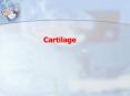 Cartilage PowerPoint PPT Presentation