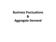 Business Fluctuations