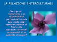LA RELAZIONE INTERCULTURALE PowerPoint PPT Presentation