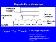 Magnetic Force Microscopy