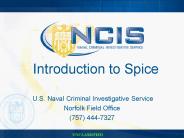 Introduction to Spice