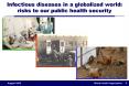 Infectious diseases in a globalized world: risks to our public health security PowerPoint PPT Presentation