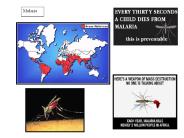 Malaria