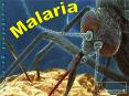 Malaria PowerPoint PPT Presentation