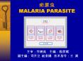 ??? MALARIA PARASITE PowerPoint PPT Presentation