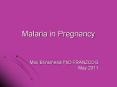 Malaria in Pregnancy PowerPoint PPT Presentation