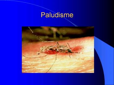 Paludisme