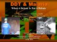 DDT PowerPoint PPT Presentation