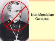 Non-Mendelian Genetics: