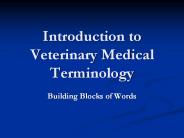 Introduction to Veterinary Medical Terminology