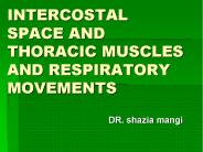INTERCOSTAL SPACE AND THORACIC MUSCLES AND RESPIRATORY MOVEMENTS
