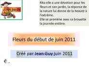 Fleurs du d