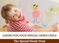Caring for Your Special Needs Child: The Special Needs Trust PowerPoint PPT Presentation