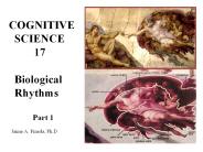 Biological rhythms, sleep and dreaming
