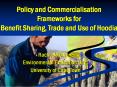 Policy and Commercialisation Frameworks for Benefit Sharing, Trade and Use of Hoodia PowerPoint PPT Presentation