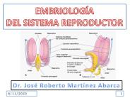 Diapositiva 1