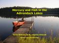 Mercury and Fish in the Adirondack Lakes PowerPoint PPT Presentation