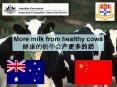 More milk from healthy cows PowerPoint PPT Presentation