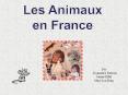 Les Animaux en France PowerPoint PPT Presentation