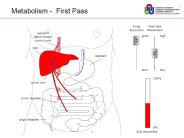 Metabolism%20-%20First%20Pass