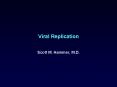 Viral Replication PowerPoint PPT Presentation
