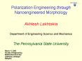 Polarization Engineering through Nanoengineered Morphology PowerPoint PPT Presentation