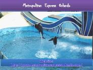 metropolitan express orlando