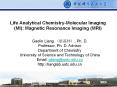 Life Analytical Chemistry-Molecular Imaging (MI): Magnetic Resonance Imaging (MRI) PowerPoint PPT Presentation
