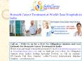 Stomach Cancer Treatment in india PowerPoint PPT Presentation