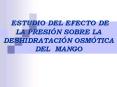 ESTUDIO DEL EFECTO DE LA PRESI PowerPoint PPT Presentation