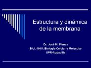 Estructura y din