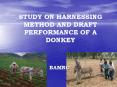 STUDY ON HARNESSING METHOD AND DRAFT PERFORMANCE OF A DONKEY PowerPoint PPT Presentation