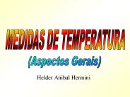 Helder Anibal Hermini