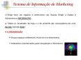 Sistema de Informa PowerPoint PPT Presentation