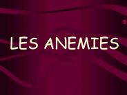 ATELIER LES ANEMIES