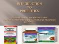 INTRODUCTION TO  PROBIOTICS  Priyanka Chopra and Hariom Yadav NATIONAL AGRI FOOD BIOTECHNOLOGY RESEARCH INSTITUTE PowerPoint PPT Presentation