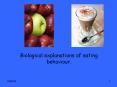 Biological explanations of eating behaviour. PowerPoint PPT Presentation