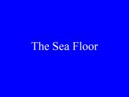 The Sea Floor