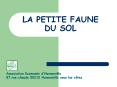LA PETITE FAUNE DU SOL PowerPoint PPT Presentation