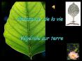 Naissance de la vie PowerPoint PPT Presentation