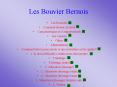 Les Bouvier Bernois PowerPoint PPT Presentation