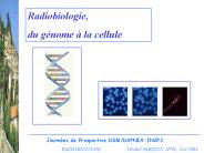 RADIOBIOLOGIE           Michel FARIZON, IPNL, Oct.2004