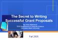 The Secret to Writing Successful Grant Proposals PowerPoint PPT Presentation