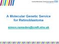 A Molecular Genetic Service for Retinoblastoma simon.ramsden@cmft.nhs.uk PowerPoint PPT Presentation