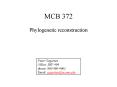 MCB 372 PowerPoint PPT Presentation