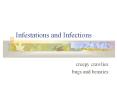 Infestations and Infections PowerPoint PPT Presentation