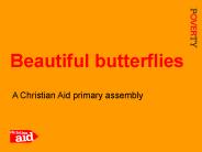 Beautiful butterflies